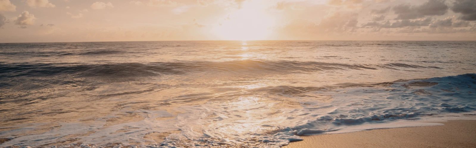 Why You Should Visit Oceanside, California: Top Attractions, Beaches, Food & Outdoor Experiences