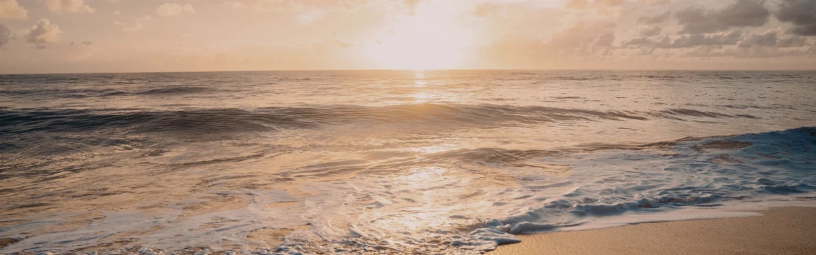 Why You Should Visit Oceanside, California: Top Attractions, Beaches, Food & Outdoor Experiences